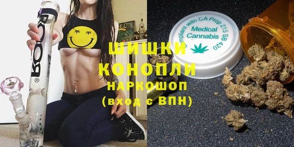 молекула духа Новокубанск