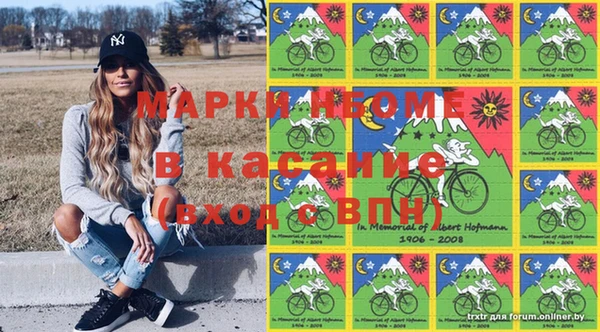 молекула духа Новокубанск