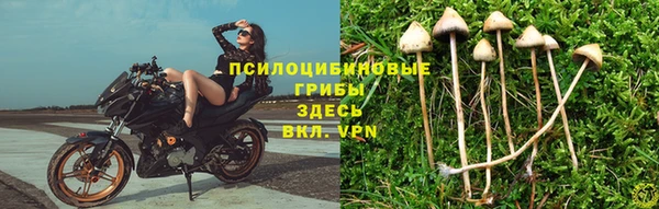 героин Новодвинск