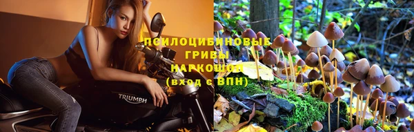 первитин Новозыбков