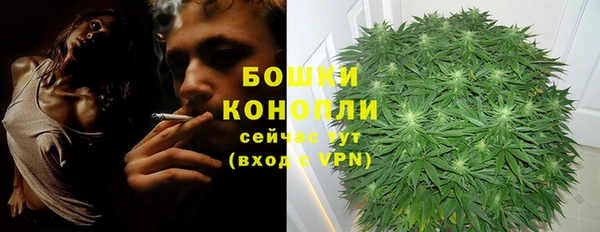 первитин Новозыбков