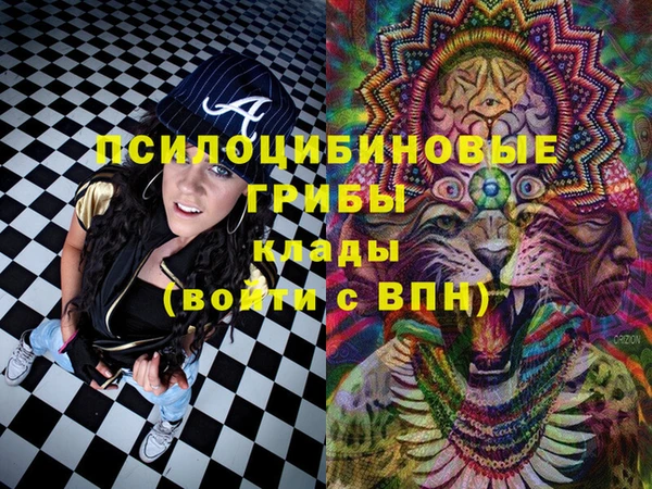 героин Новодвинск
